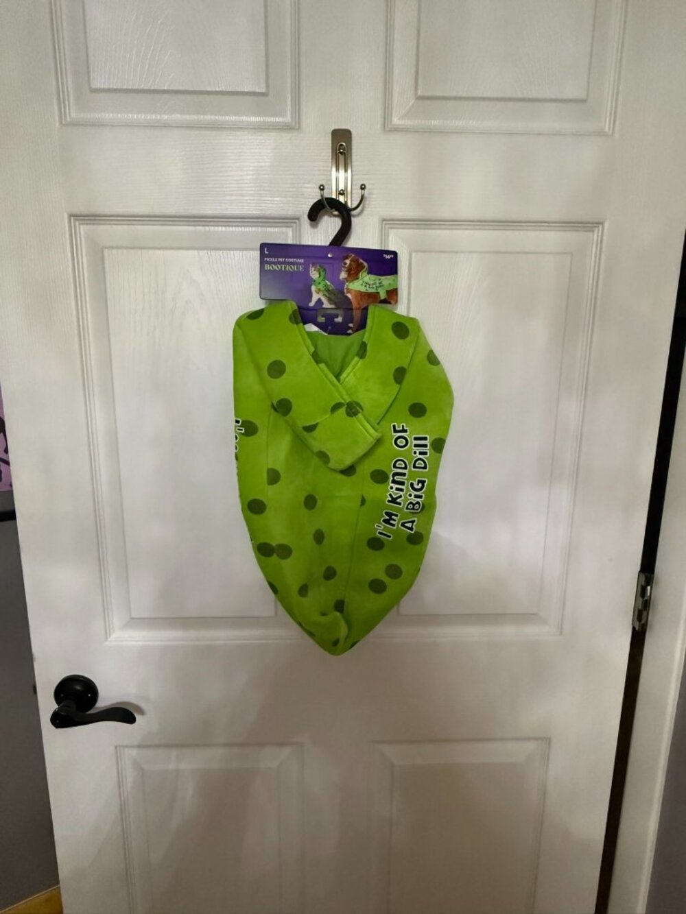 Bootique "I'm Kind Of A Big Dill" Dog Costume